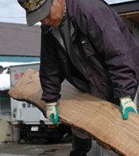 渋抜き用の水槽に木材を浸していく職人。