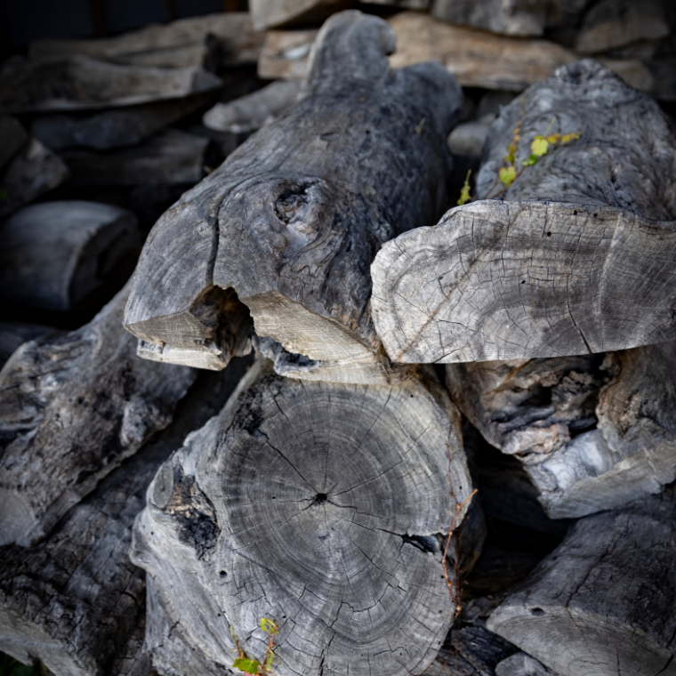 原木の貯木／製板